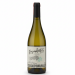 freepik__create-a-clean-ecommerce-style-studio-photograph-o__58066