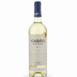 freepik__create-a-clean-ecommerce-style-studio-photograph-o__58079